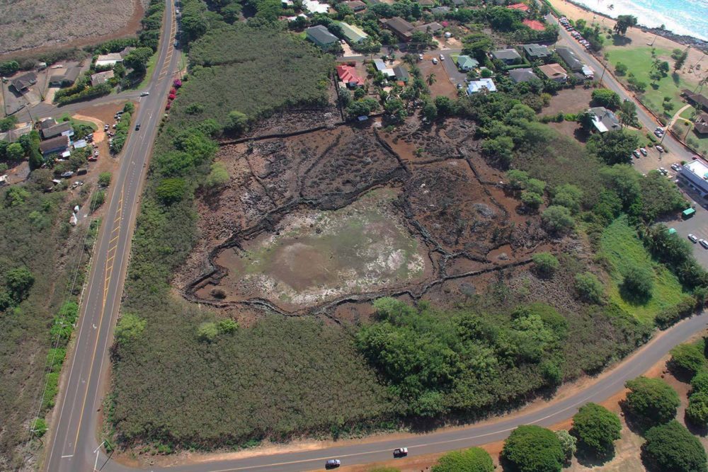 2012 aerial view. Volunteers have now cleared the makahiki arena. Notice how the arena is shaped like kāne (man).