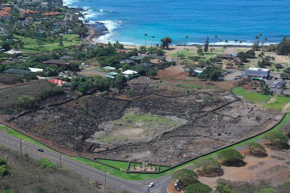 2015 aerial view. The main village is fully cleared. Native plants and trees are reintroduced. Viewing platform nearly ready for installation.