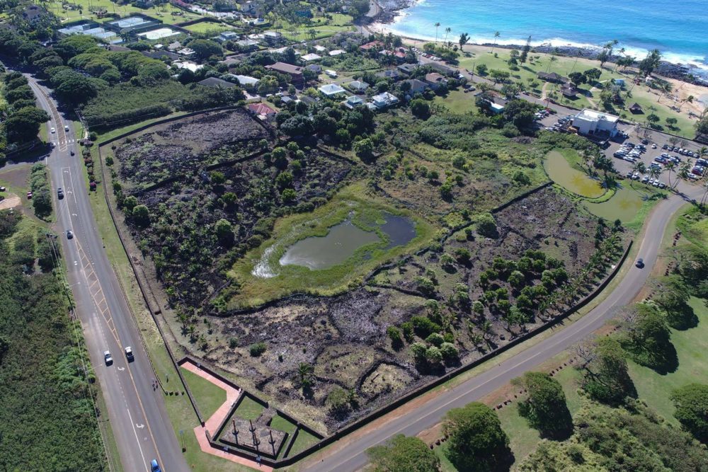 2019 aerial view. Native trees are thriving. Viewing platform is complete and open to public. Village is fully prepared for Phase Three to begin.