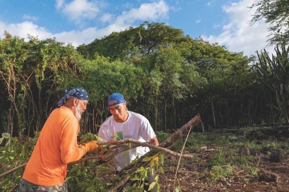 Mostly untended since it was abandoned in the nineteenth century, Kāneiolouma fell victim to vandalism and neglect until a passionate group of volunteers and Native Hawaiian cultural practitioners took it upon themselves to restore it.