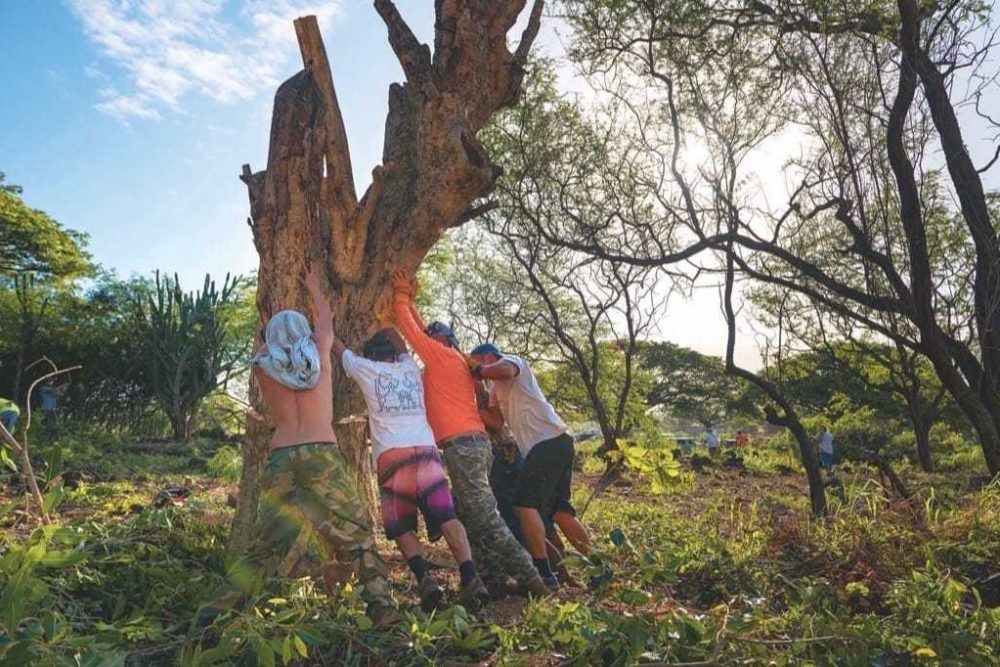 Rupert Rowe and Billy Kaohelauli‘i initiated the restoration effort in 1998. “We visualized, I saw the obstacles that would come forth and I knew we would have to be patient, humble and compassionate,” says Rowe.